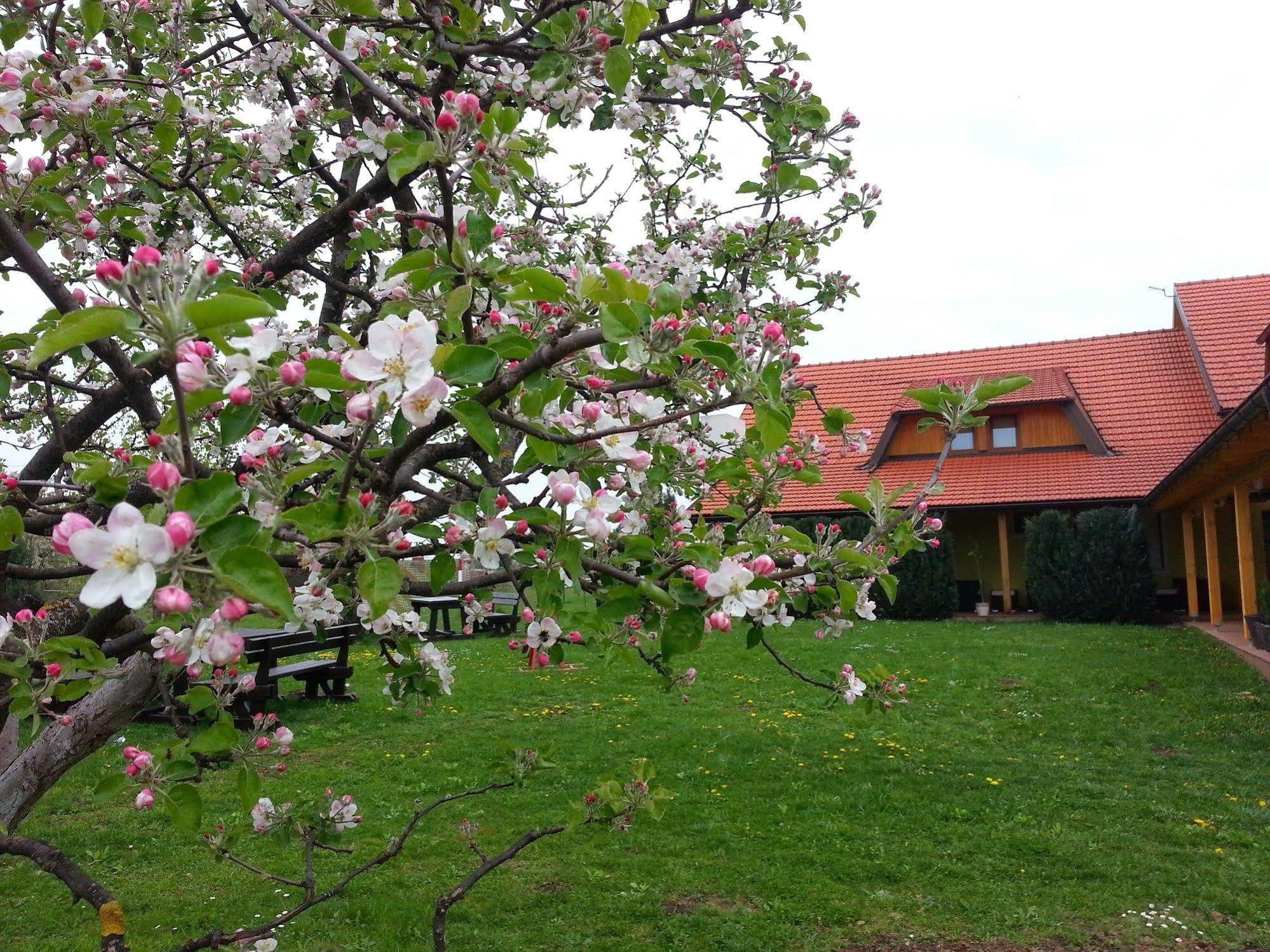 Hotel House Tina Grabovac  Exterior foto